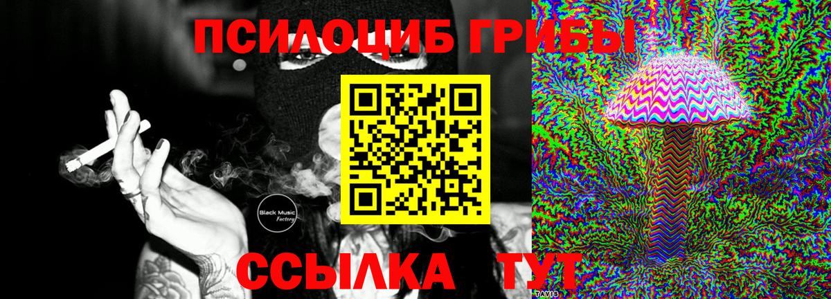 Галлюциногенные грибы GOLDEN TEACHER  цена наркотик  Галлюциногенные грибы ЛСД  Великие Луки  Вход с VPN 